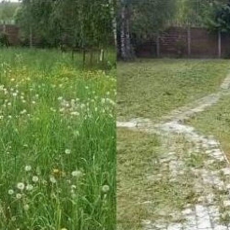 Покос травы триммером
